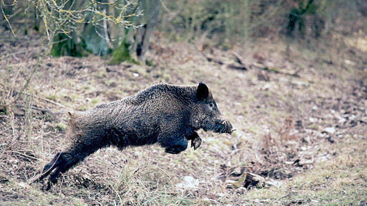 Du Plomb au cuivre : enjeux, avantages et inconvénients